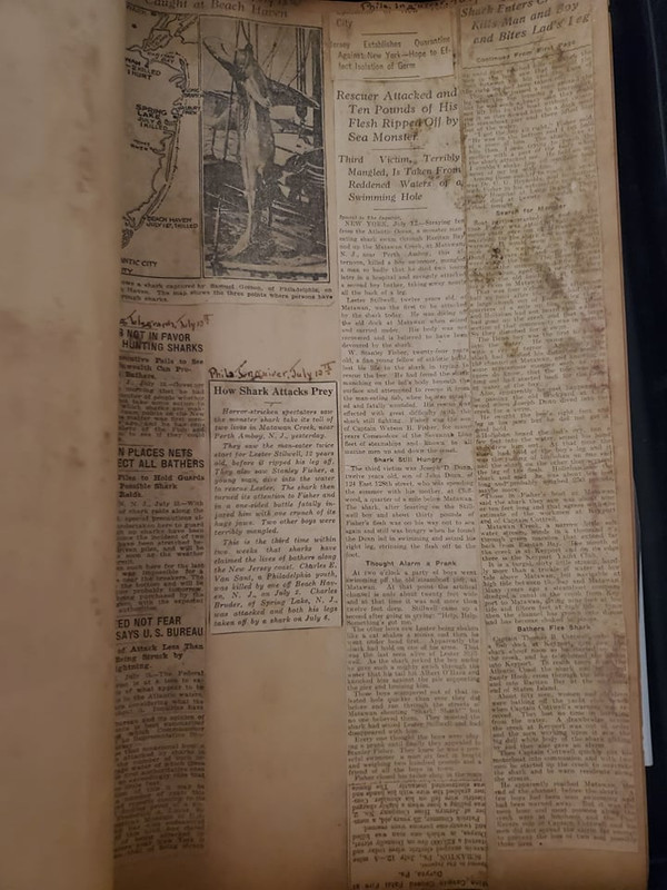 101731222_260489551854254_5654222448300654592_n