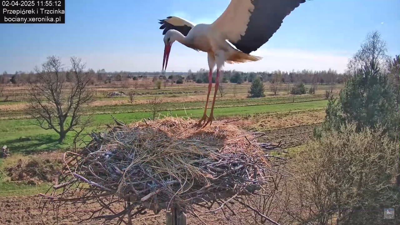 02042025krotkawizytabocka_0