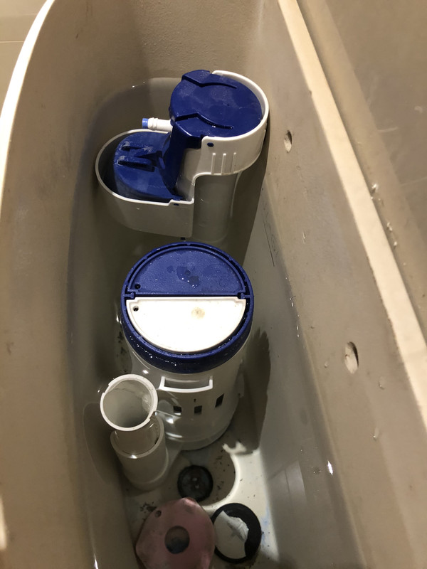 98A3FBB9-D092-4B76-990F-E079471D2257