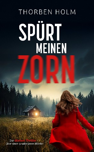 Thorben-Holm-Sp-rt-meinen-Zorn.jpg