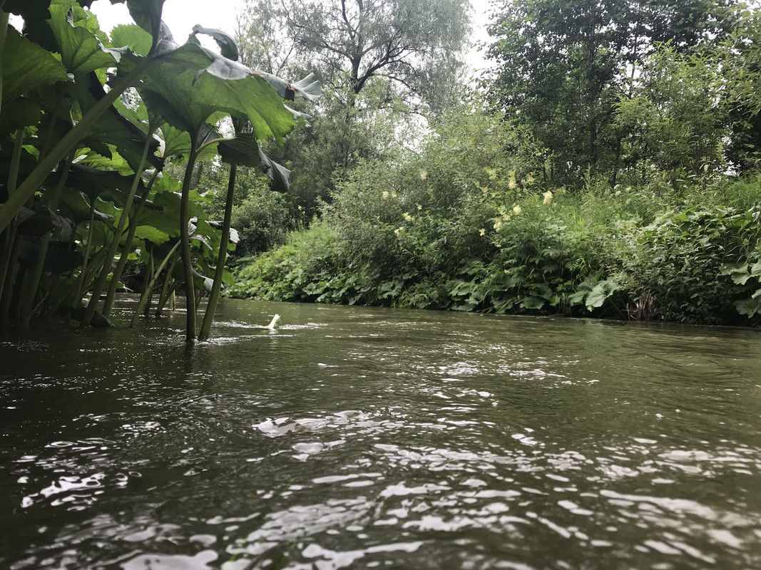 1C10BC44-5788-4425-9E25-002F22B28B0F