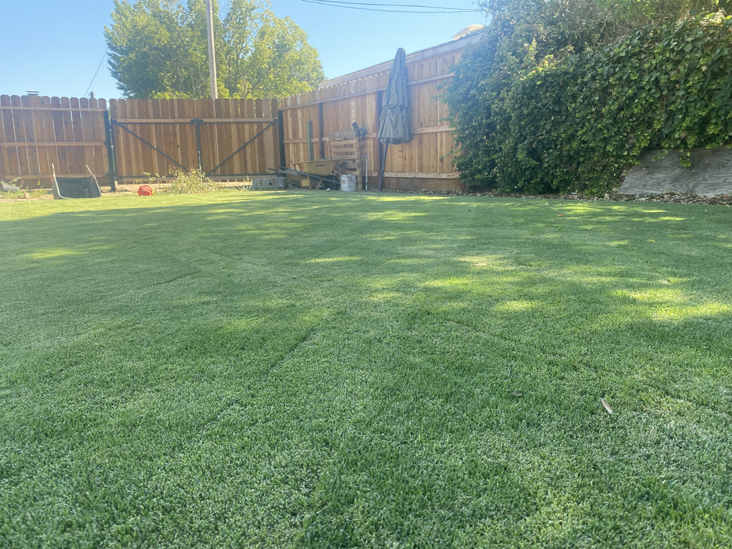 2E626FD7-61DF-4F8C-AF04-C1BDD2047E02