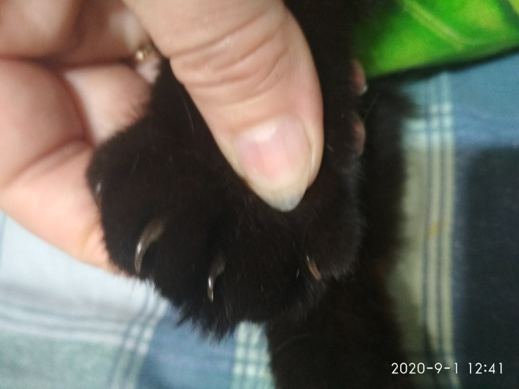 BD10EC46-42E1-435D-8A81-76FA89A749AC