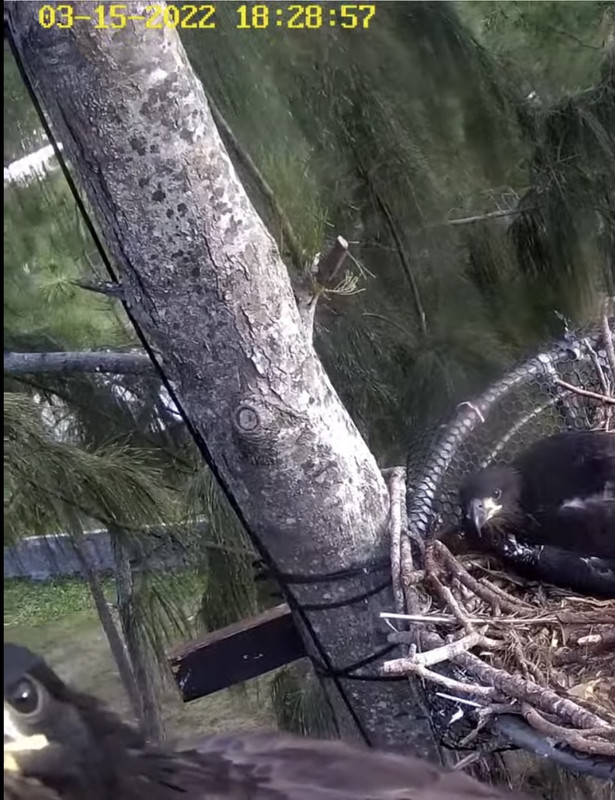 FE637274-89FD-4FC3-8855-64C6FA42C09F