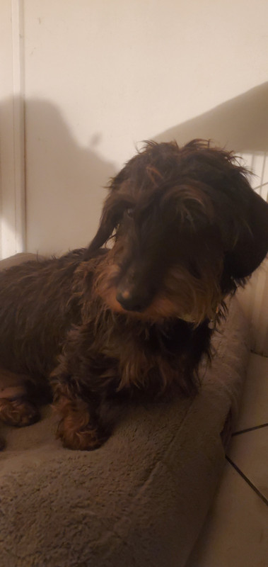 [Image: IMG-20241215-181732.jpg]