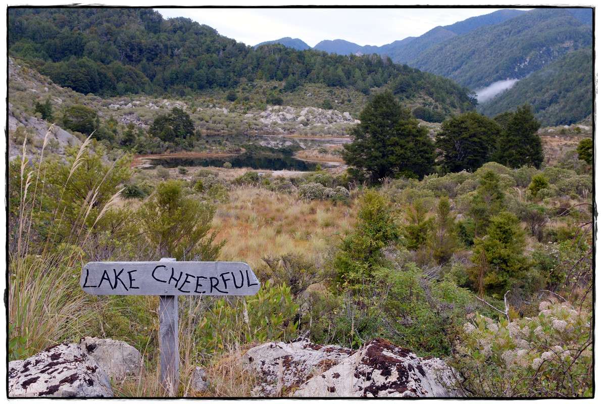 The Old Ghost Road (marzo 2024) - Escapadas y rutas por la Nueva Zelanda menos conocida (58)