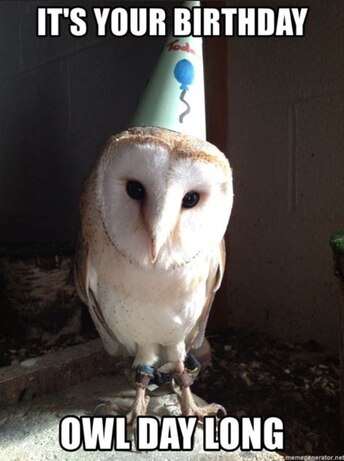 Birthday-Owl-Day-Long