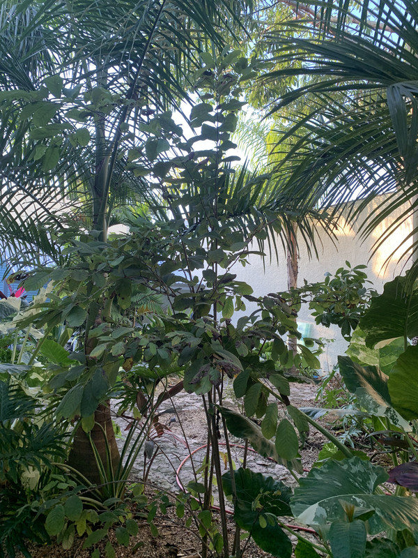 B5352656-856A-4189-9EE9-3F225113F035