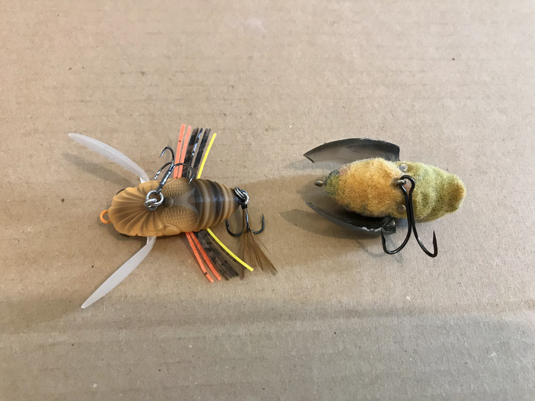 1C0F0FBE-2262-4766-88AA-B43E7A141E4F