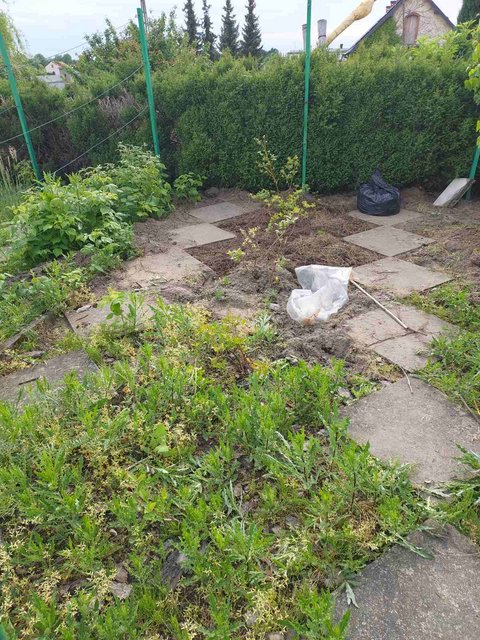 изображение_viber_2022-05-29_18-29-25-202