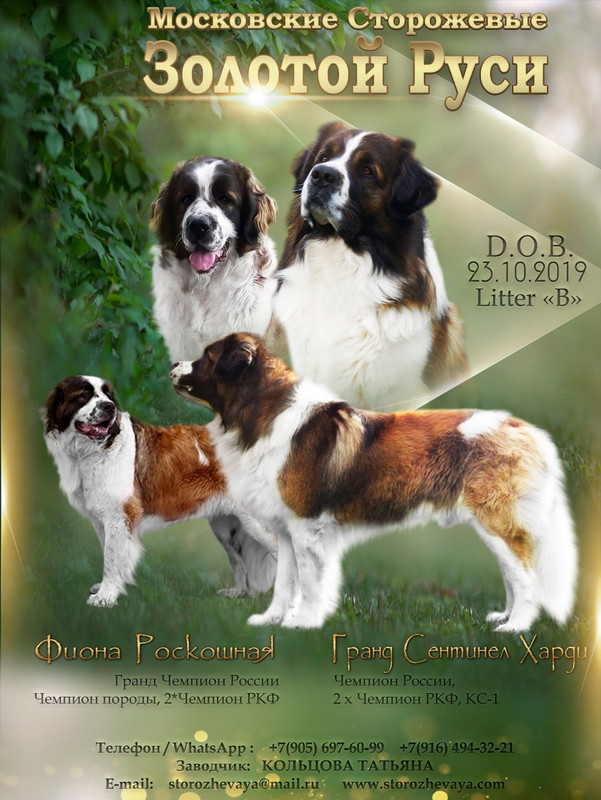 Фиона и Харди