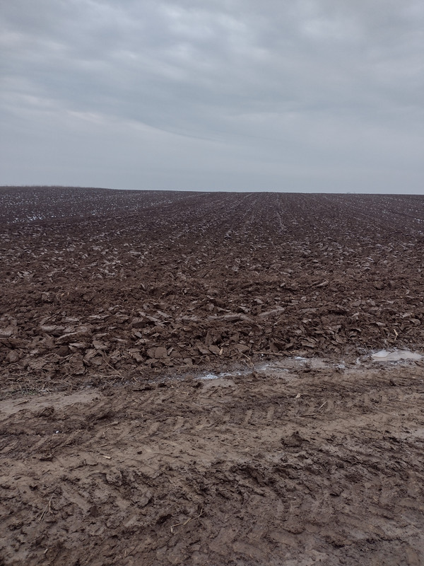 IMG-20221213-151721864-HDR.jpg