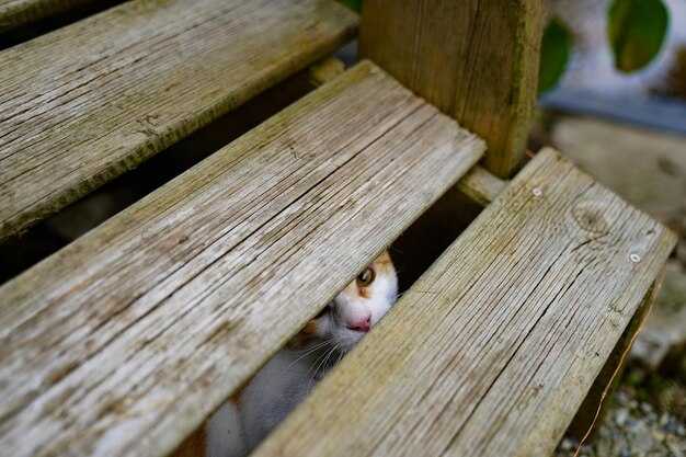 Учет направления ветров для размещения здания