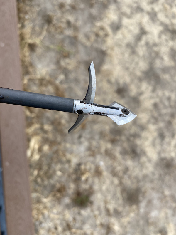 D64B88C4-EB8A-41F8-B3FD-A0BF9809FF8E