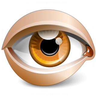 Image Eye 9.3 Multilingual