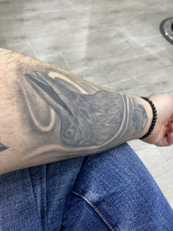 [Image: IMG-6776.jpg]