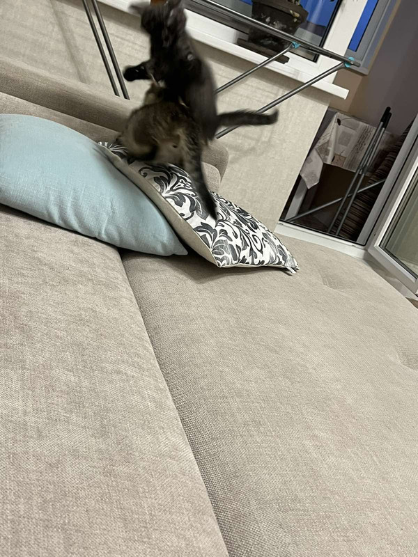 IMG-72b314747f783461096bf1516e506b64-V