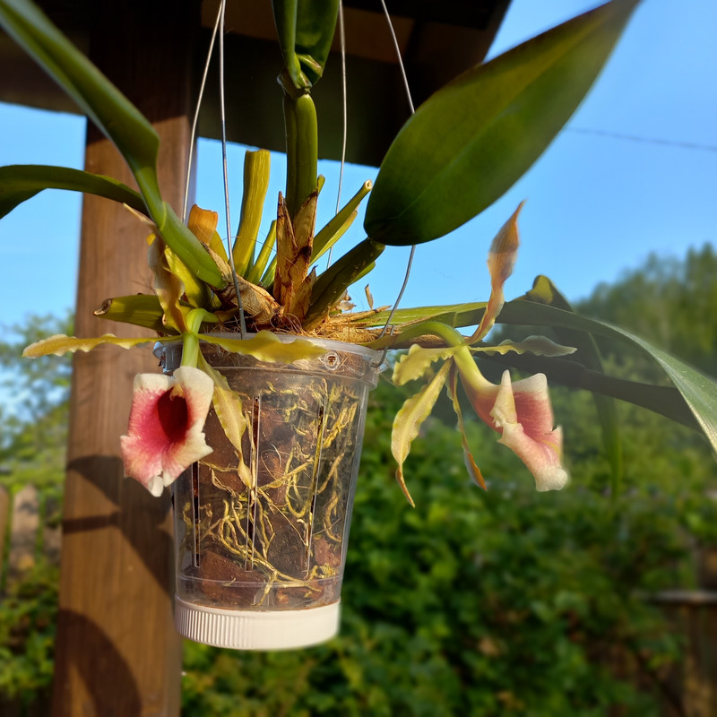 FOc Ie Aqcm KC5IG5g K 6Tt m NRFHst CM ksqquj8 G2lsl1JJThhu DBy ZYMggkzakq Qq Ol Ov VXD0y4y Yc Rqz Oc