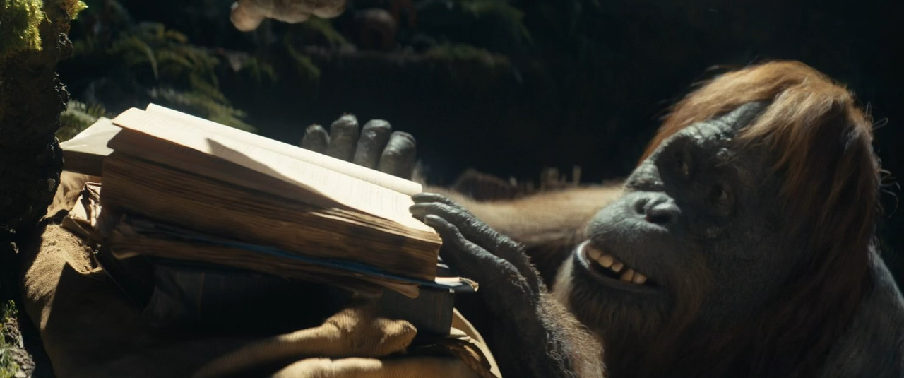 Il regno del pianeta delle scimmie (2024) .mkv 720p WEB-DL DDP 5.1 iTA ENG H264 - FHC.mkv_snapshot_0