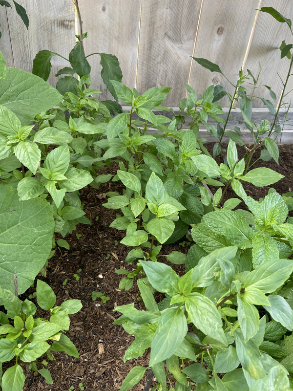 2DC378CC-E773-4F7C-B367-8F490D1FD0AD