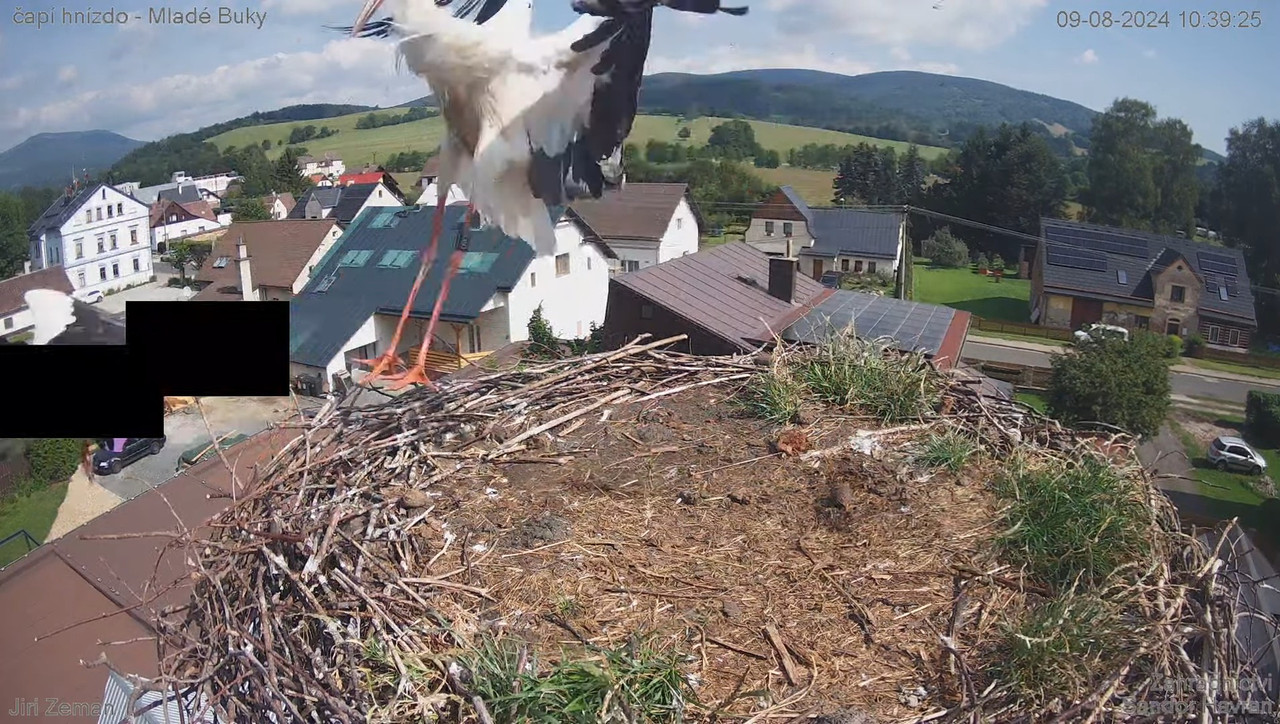 Tiešraides kamera — Mladé Buky — stārķa ligzda 15-13-57 screenshot