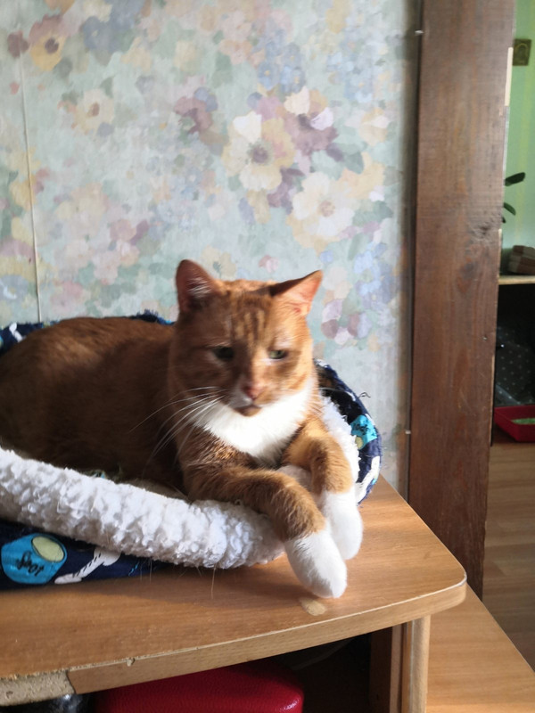 C90F5B05-23B2-42E7-BF87-CCE2E8355FC7