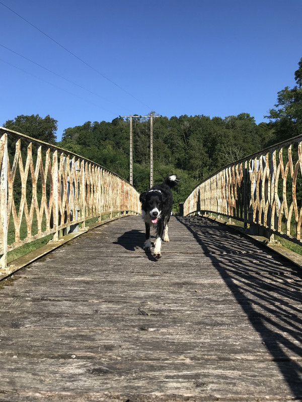 A6C57D52-EEC6-4983-AAAA-D1532FC1ADE6