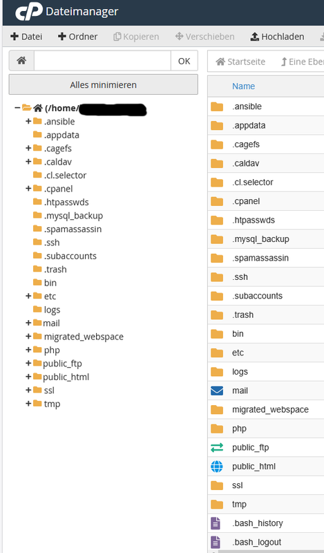 cPanel-Dateimanager