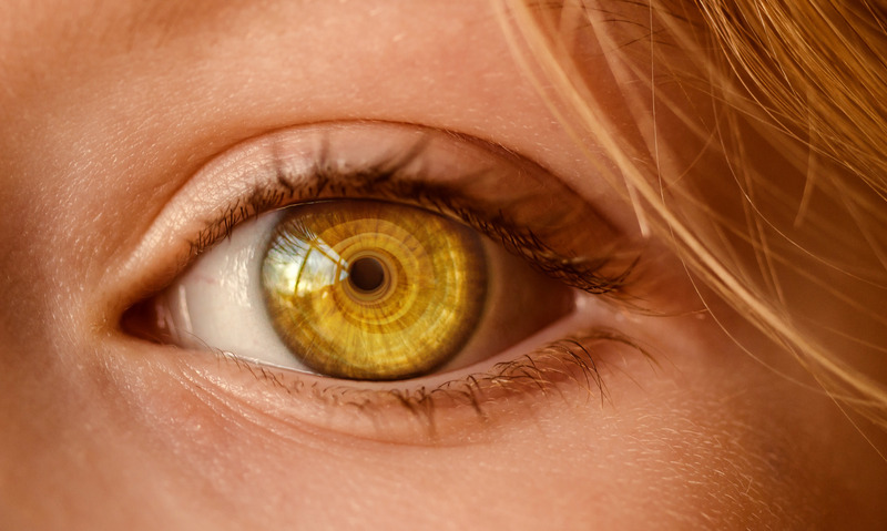 Yellow-Femal-Eye.jpg