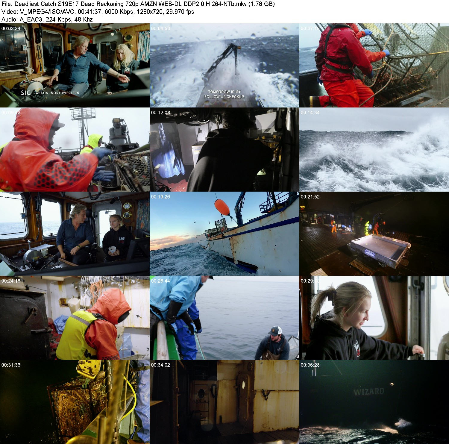 [Image: dumt7yt4h7l0.jpg]