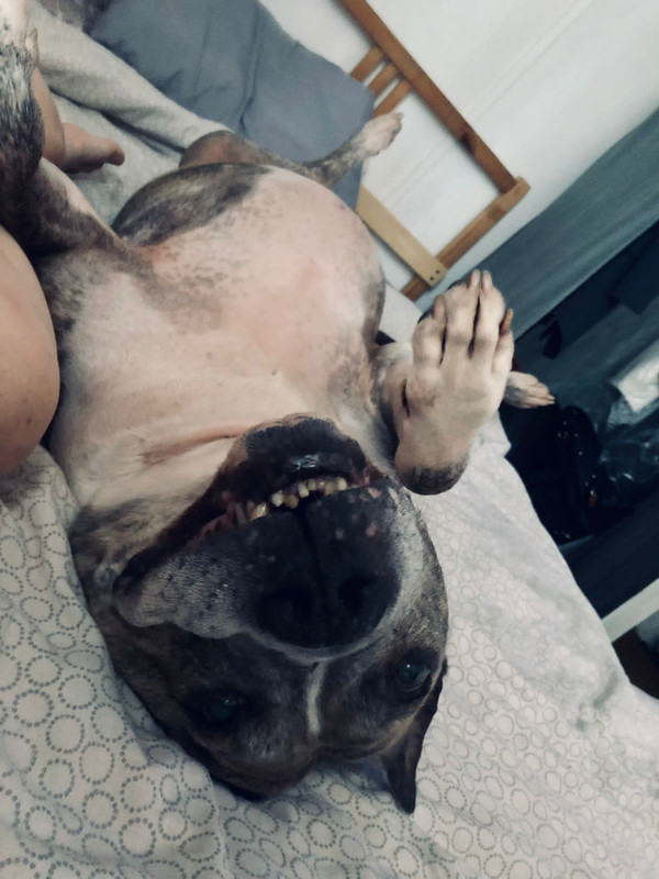 50A0284E-9D02-4ABC-AA64-B9FA2C0CD1DF