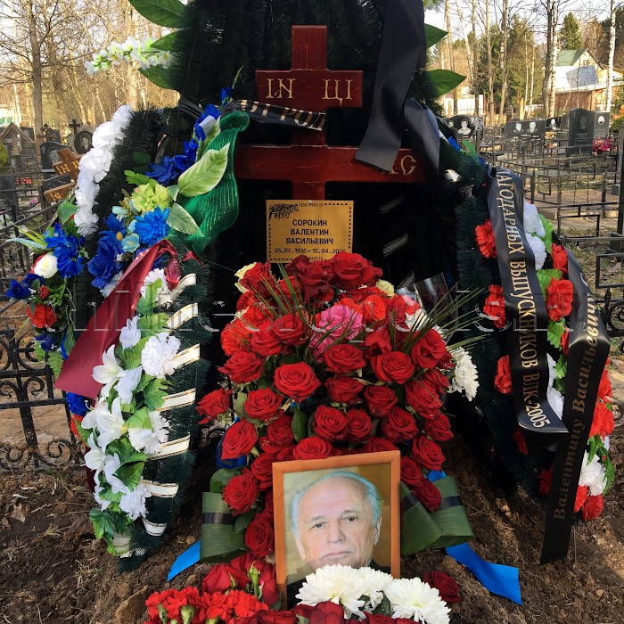 sorokin-vv