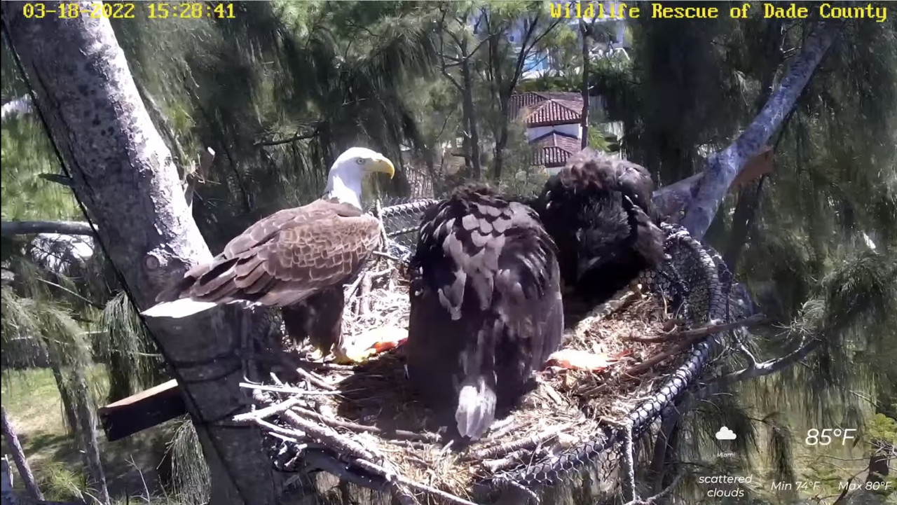 A0ED3627-EB00-46C7-A912-AB80370B3C14