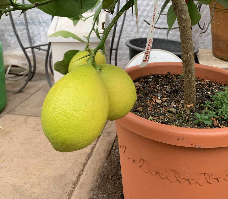 68A07290-3AA6-47E5-A3EF-997A57DBEF29