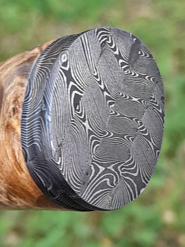 WhatsApp Image 2022-05-16 at 5.39.39 PM (6)