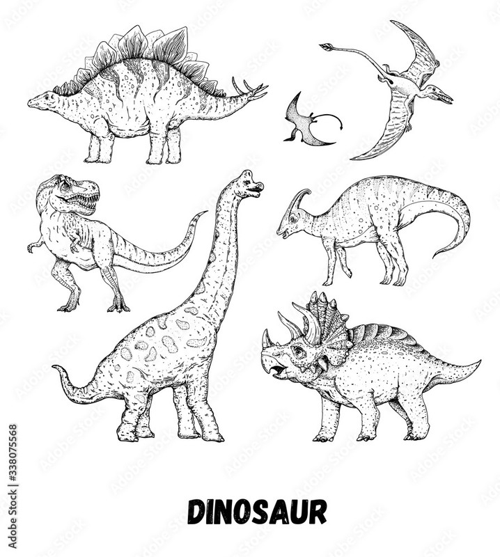 1000_F_338075568_KdY0M19tnvX2S2IjkzxeJsd7pnTmAJoK