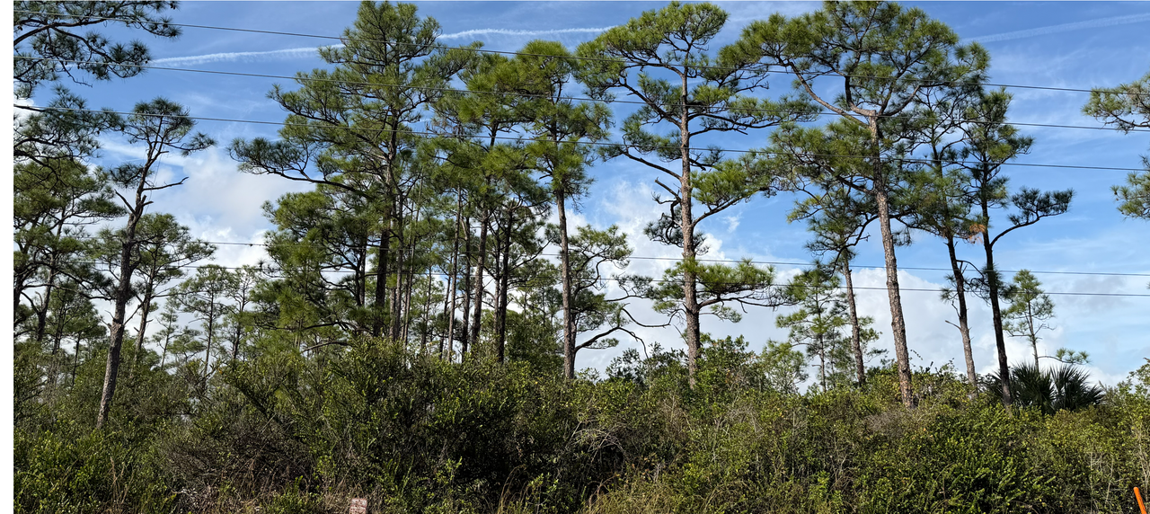 [Image: Jupiter2-Jone7.png]