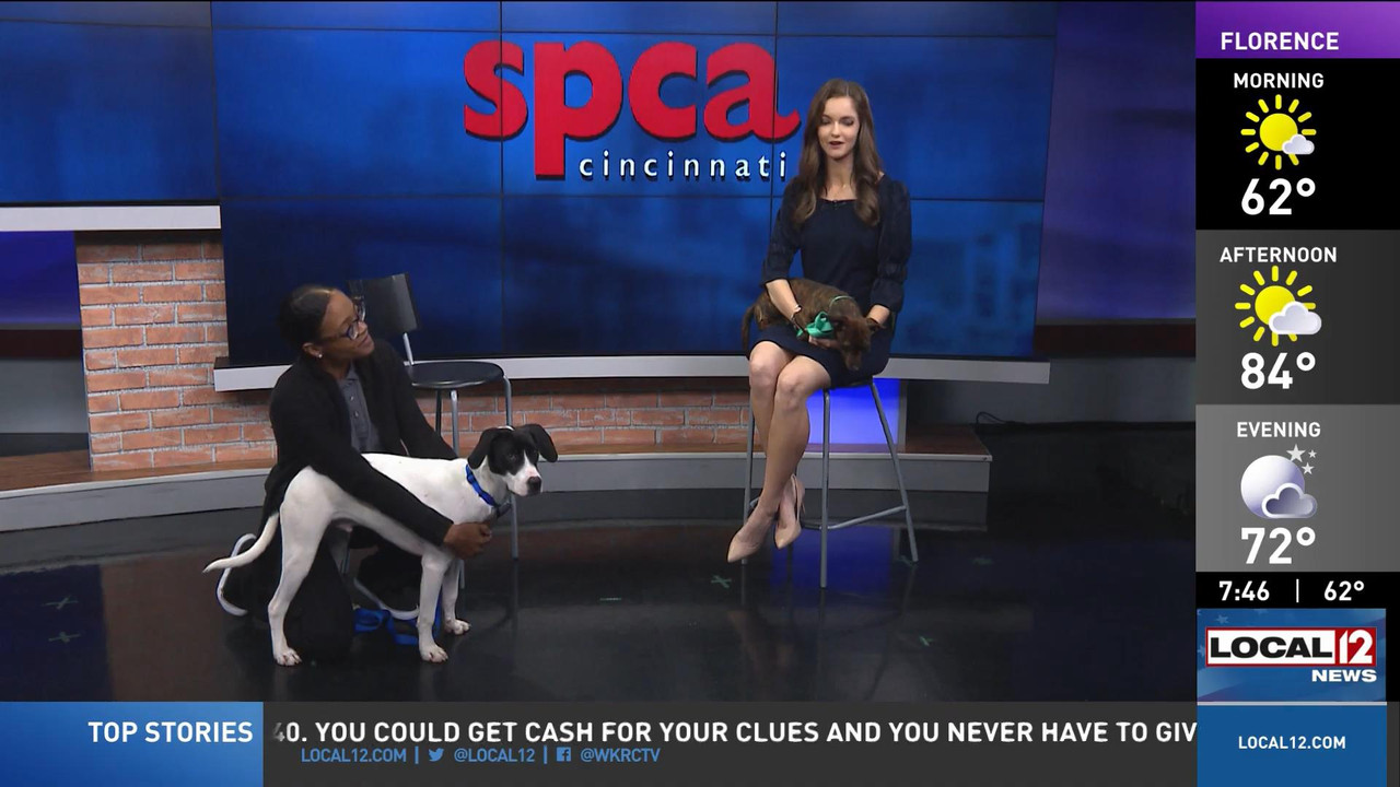07.30 - 11.00.00 - Good Morning Cincinnati Saturday  ᴺᵉʷ. News covera..._002.ts_snapshot_12.15_[2022