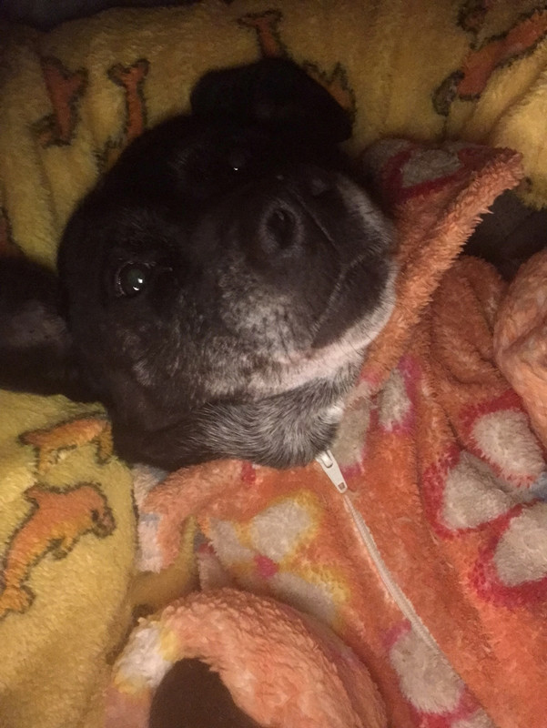 DDD02CBE-17F5-441F-966B-8C5734CA3F6B