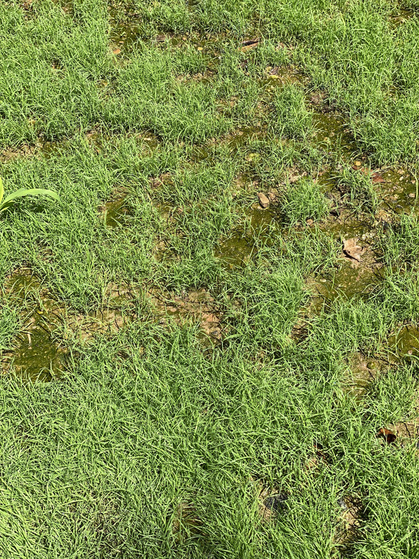 DDA3E383-4293-48E2-A5ED-EC665113E6C9