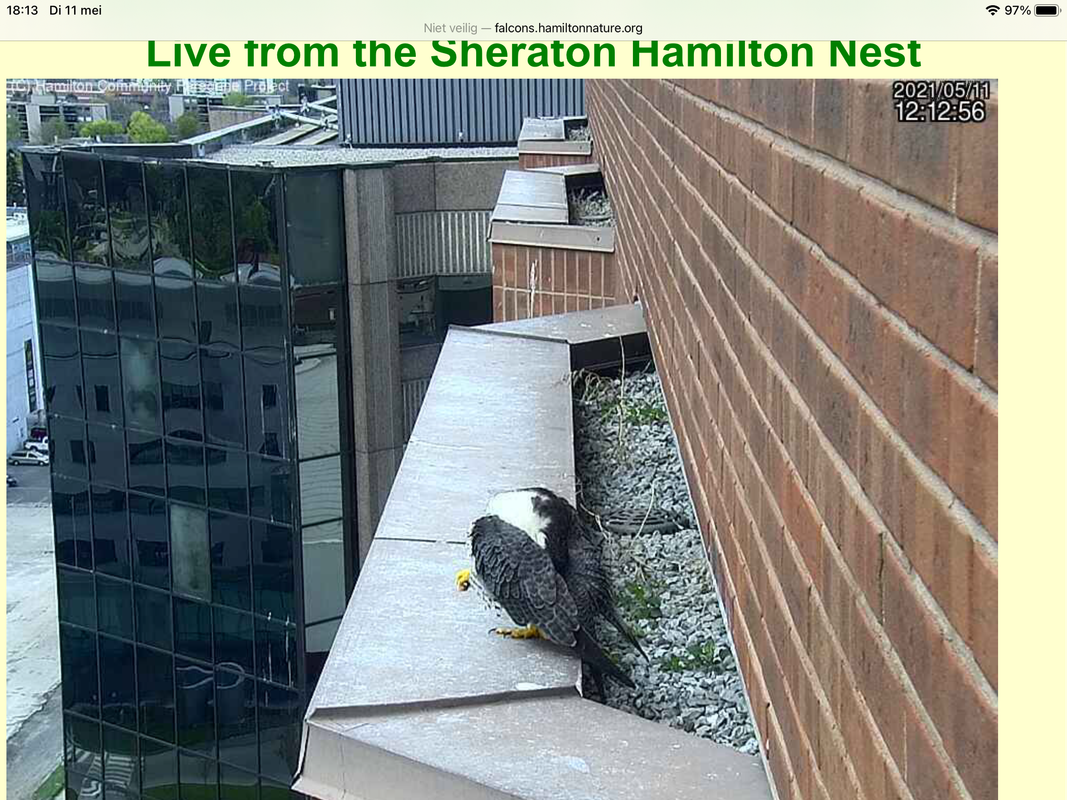 C805CD2C-7157-432D-9824-A9BBAC6A40CB