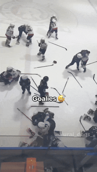 https://i.postimg.cc/qB9JbTLp/goalie.gif
