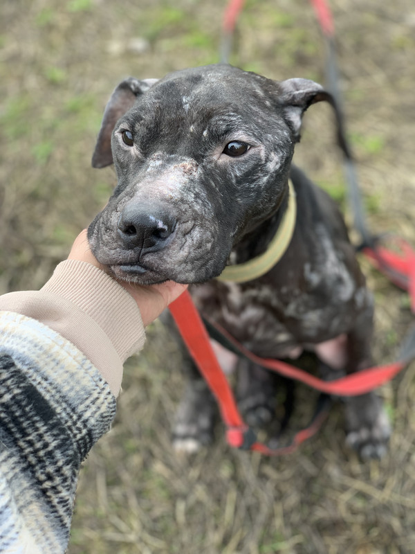 1B02BC61-041E-4E83-9F8B-7AB992F1750B