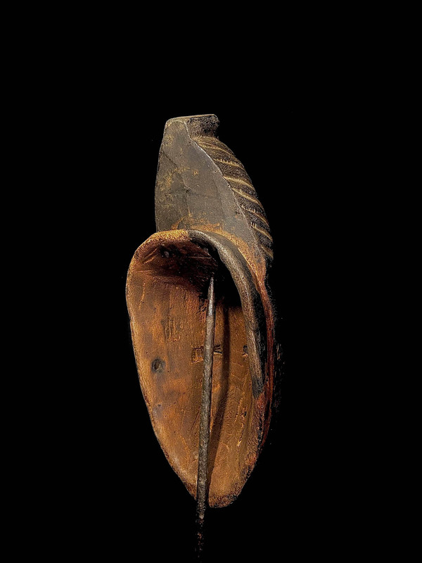 large image 11