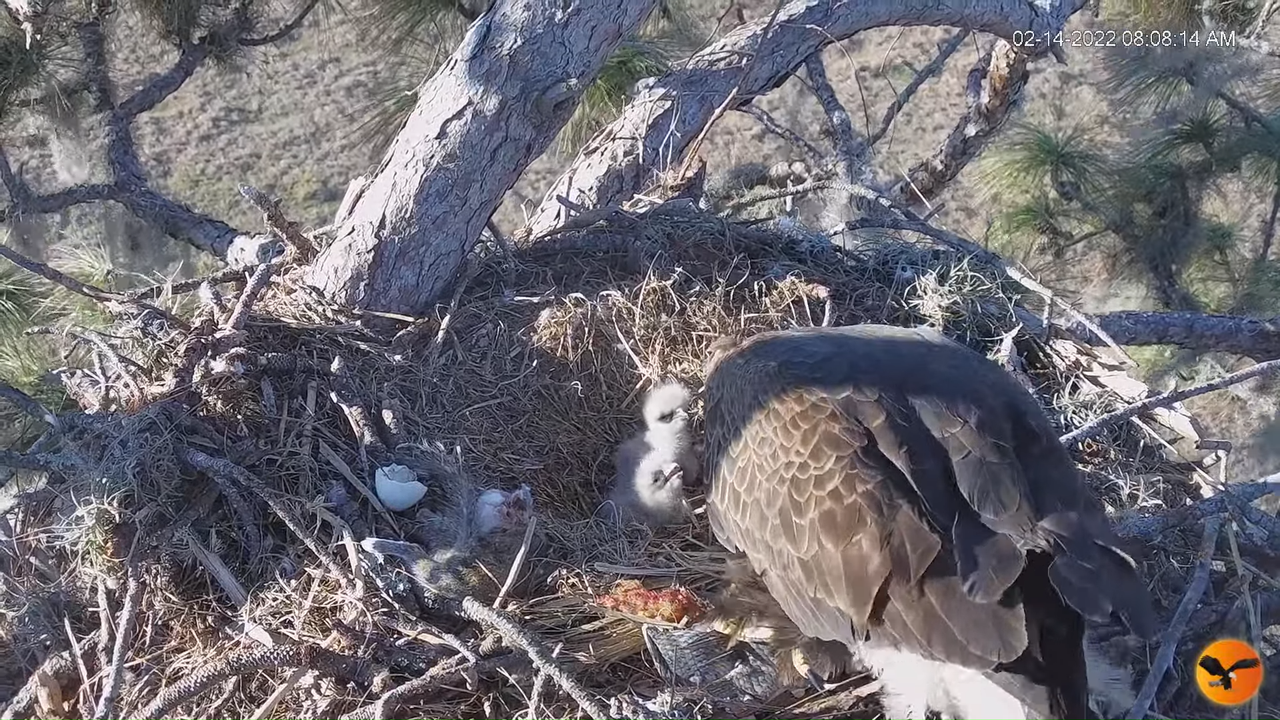 EC 4K Overhead Cam 12-13-24 screenshot