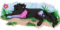 Full-Animation.gif
