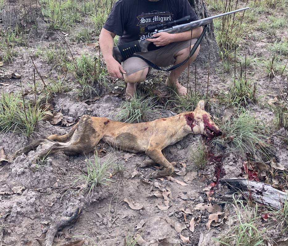 7A382250-9F89-480B-9EE8-29677AC36429