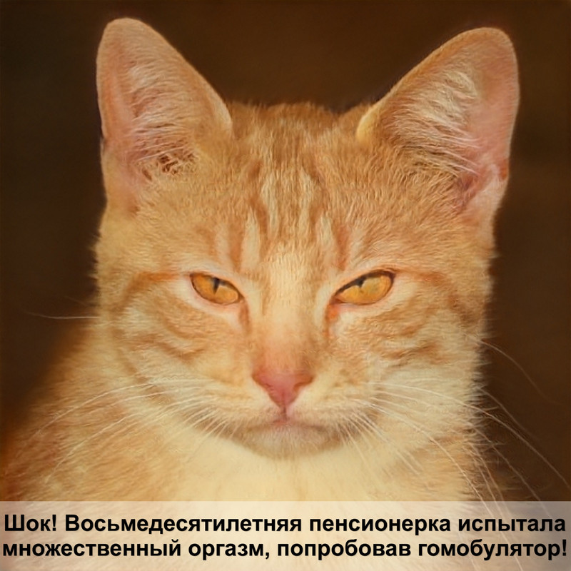 колпачки на когти для кошек