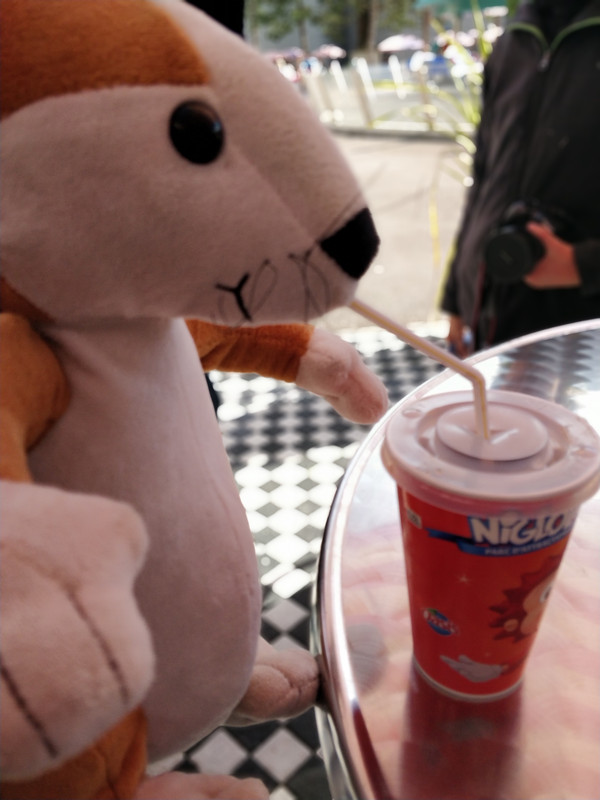 IMG_20190406_144906_Bokeh