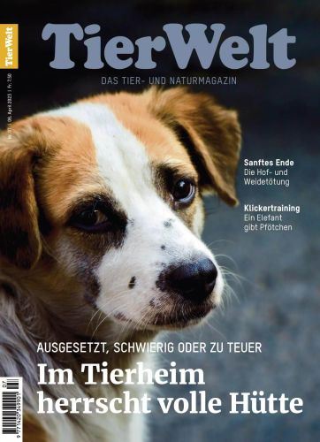 Cover: TierWelt Magazin No 07 vom 08  April 2023